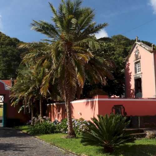 A pink house is surrounded by palm trees and greenery, featuring an archway and stone pathway in a lush, mountainous area.