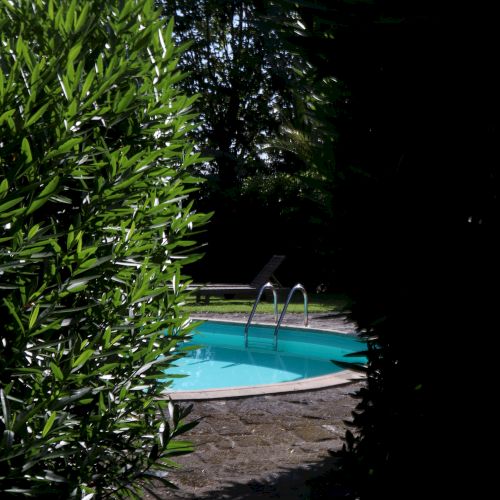 A round, blue swimming pool surrounded by greenery and partially shaded by leafy trees and bushes, with metal pool ladders visible.